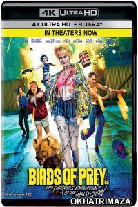 Birds of Prey (2020) Hollywood Hindi Dubbed Moviez